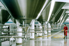 Hier g&auml;rt das ber&uuml;hmte Rothaus Bier